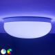 Philips - Plafón LED RGBW regulable Hue FLOURISH White And Color Ambiance LED/32W/230V