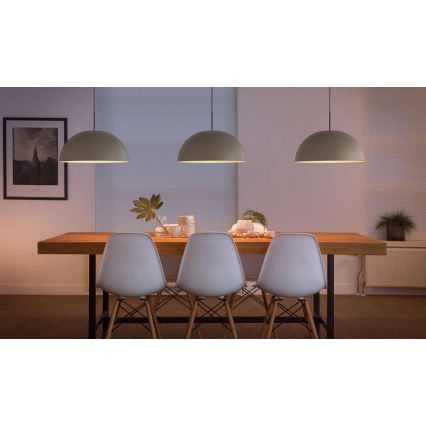 Philips 40907/38/16 - Lámpara colgante LED MYLIVING RYE 1xLED/4,5W/230V