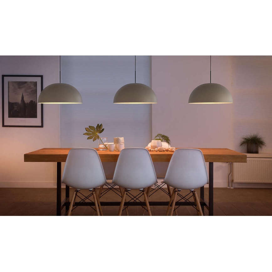 Philips 40907/38/16 - Lámpara colgante LED MYLIVING RYE 1xLED/4,5W/230V