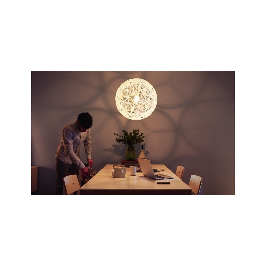Philips - Lámpara colgante E27/60W/230V