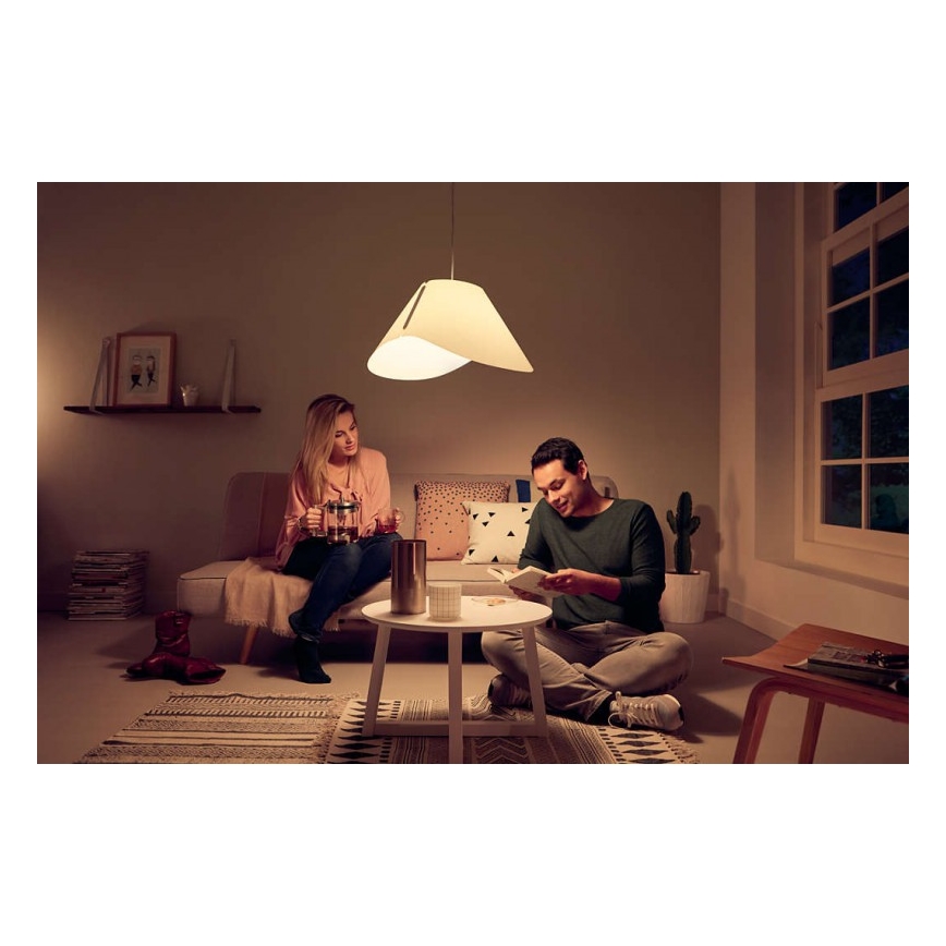 Philips - Lámpara colgante E27/60W/230V