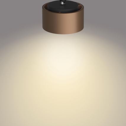 Philips 50654/05/P0 - Foco LED FERANO 4xLED/4,3W/230V