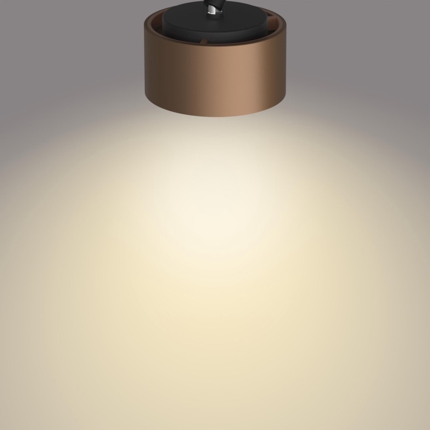 Philips 50654/05/P0 - Foco LED FERANO 4xLED/4,3W/230V