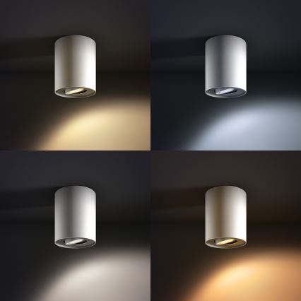 Philips 56330/31/P8 - LED Foco regulable PILLAR HUE 1xGU10/5,5W