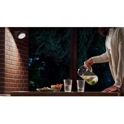 Philips - Aplique LED para exterior LED/7W/230V 4000K IP44