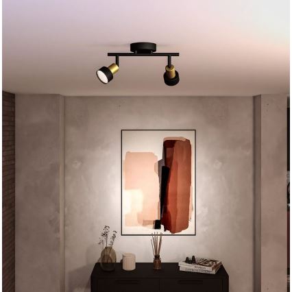 Philips - Foco CONDUIT 2xGU10/5W/230V negro/latón