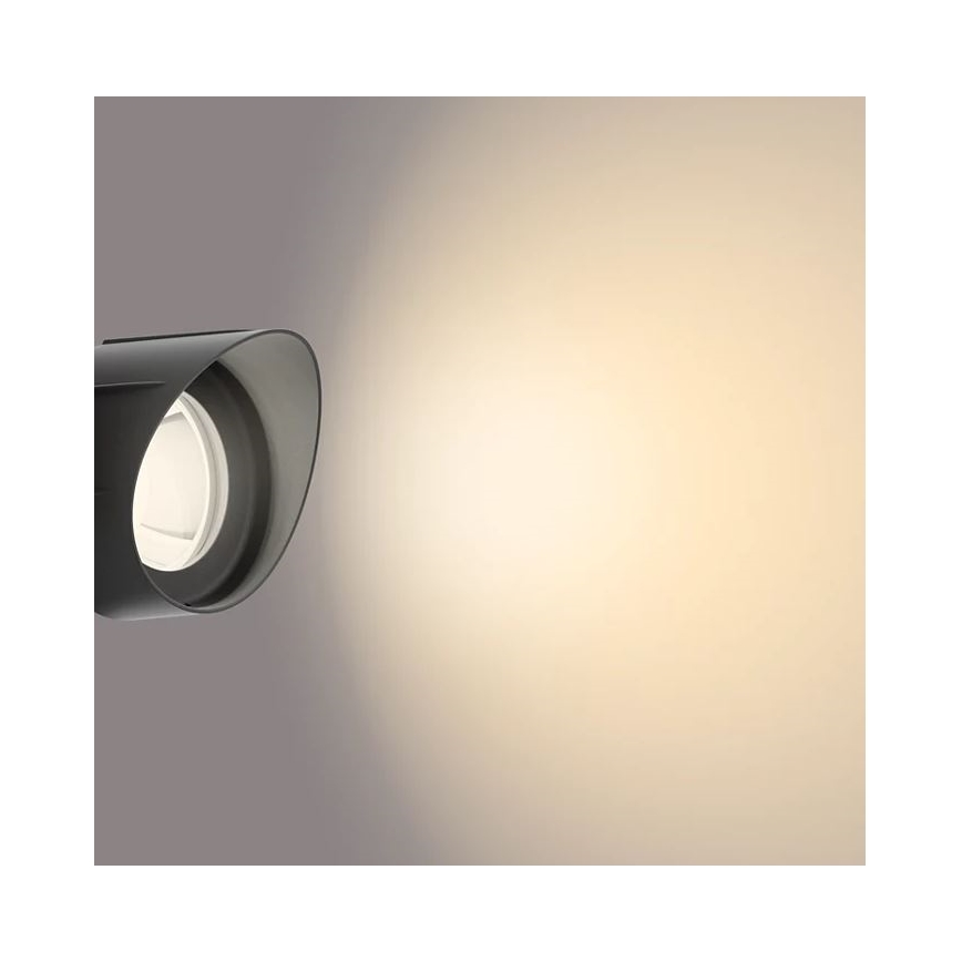 Philips - Foco LED de exterior LED/24W/230V 2700K IP44