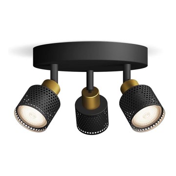 Philips - Foco NIALL 3xGU10/5W/230V negro/latón