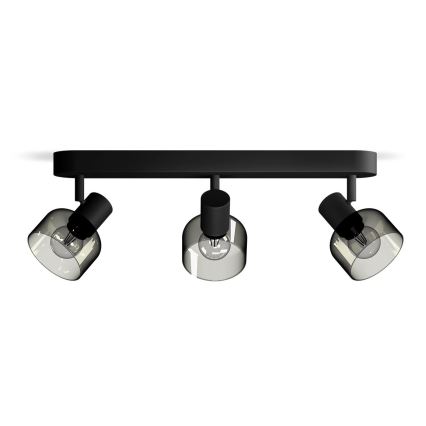 Philips - Foco SLEET 3xE14/25W/230V