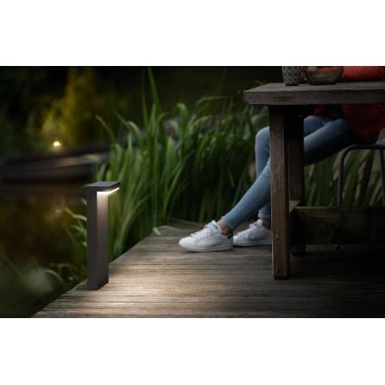 Philips - Lámpara LED de exterior BUSTAN LED/3,8W/230V 2700K 40 cm IP44