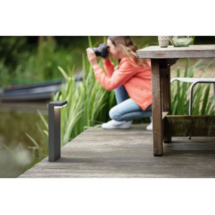 Philips - Lámpara LED de exterior BUSTAN LED/3,8W/230V 2700K 77 cm IP44