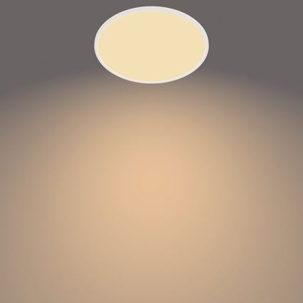 Philips - Lámpara LED exterior regulable SCENE SWITCH LED/15W/230V IP54 blanco