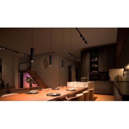 Philips - Lámpara de araña LED RGB regulable en un cable para sistema de rieles Hue PERIFO LED RGB/5,2W/230V 2000-6500K