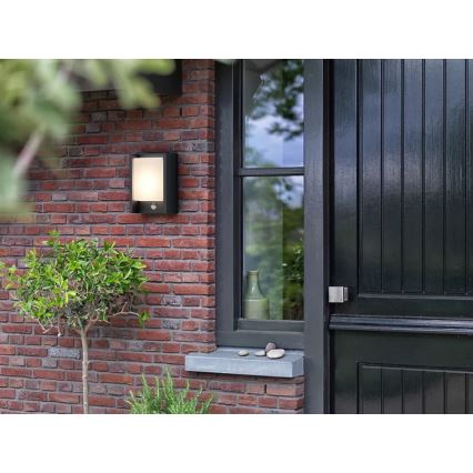 Philips - LED Aplique para exterior con sensor ARBOUR LED/3,8W/230V 2700K IP44
