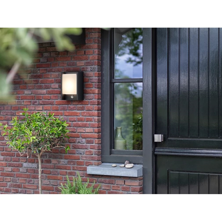 Philips - LED Aplique para exterior con sensor ARBOUR LED/3,8W/230V 2700K IP44