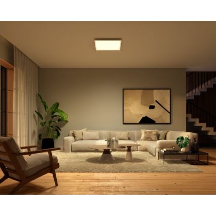 Philips - LED RGB Panel regulable Hue White And Color Ambiance LED/60W/230V 2000-6500K