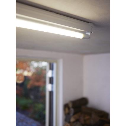 Tubo fluorescente LED Philips G13/20W/230V
