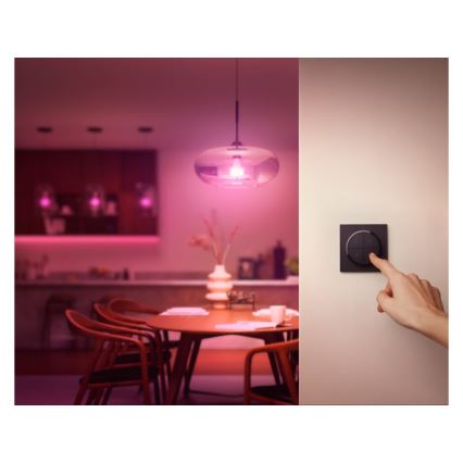 Philips - Mando a distancia con interruptor Hue TAP 1xCR2032 negro