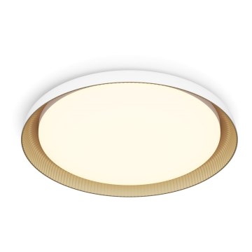 Philips - Plafón LED regulable PEBBLO SCENE SWITCH LED/10W/230V 2700K blanco