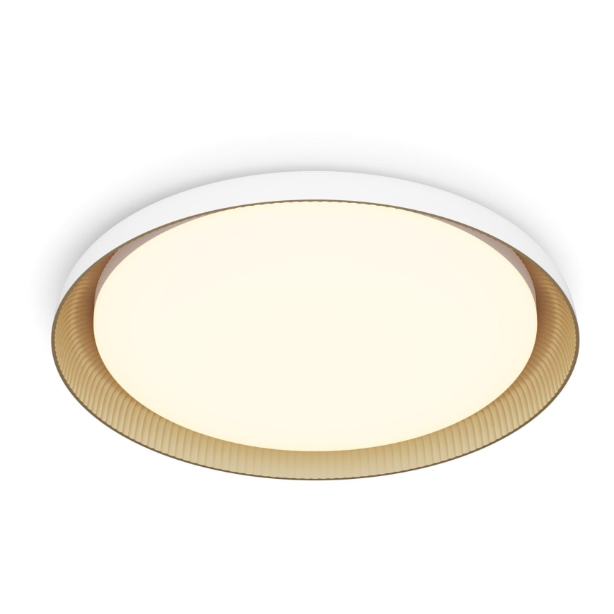 Philips - Plafón LED regulable PEBBLO SCENE SWITCH LED/10W/230V 2700K blanco