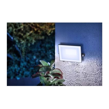 Philips - Proyector LED LOIS LED/20W/230V IP65 5000K