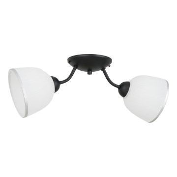 Plafón AVIA 2xE27/60W/230V