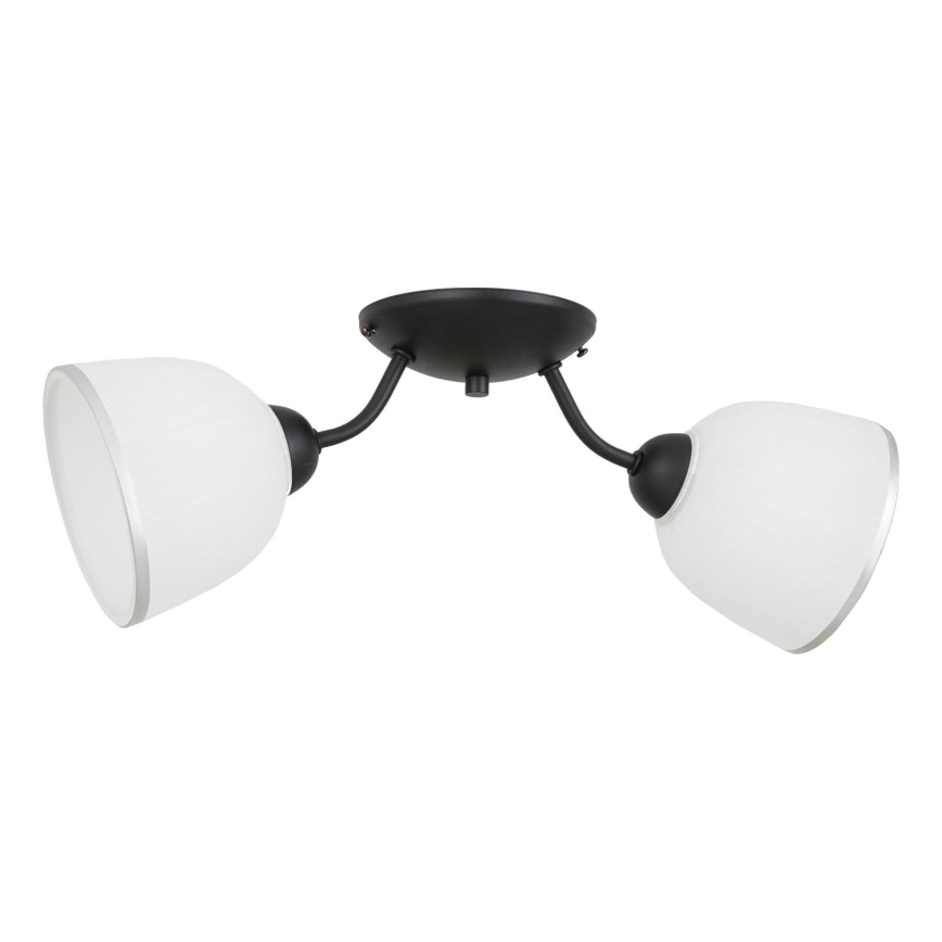 Plafón AVIA 2xE27/60W/230V