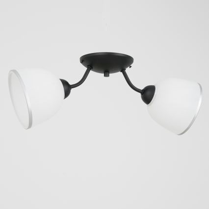 Plafón AVIA 2xE27/60W/230V