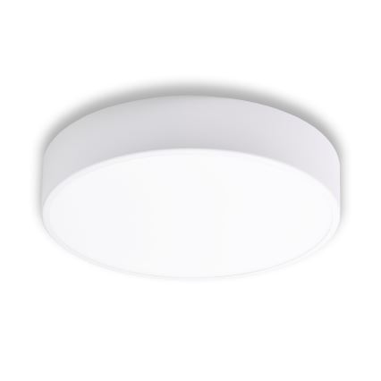 Plafón de baño CLEO 3xE27/24W/230V diá. 40 cm blanco IP54