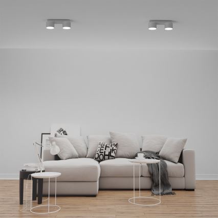 Plafón DIXIE 2xGX53/11W/230V blanco