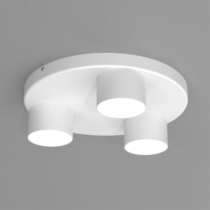 Plafón DIXIE 3xGX53/11W/230V blanco