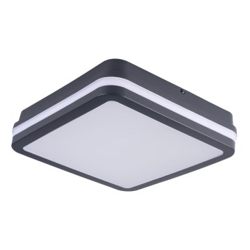 Plafón exterior LED BENO LED/18W/230V 4000K antracita IP54