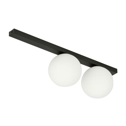 Plafón FIT 2xE14/10W/230V negro/blanco
