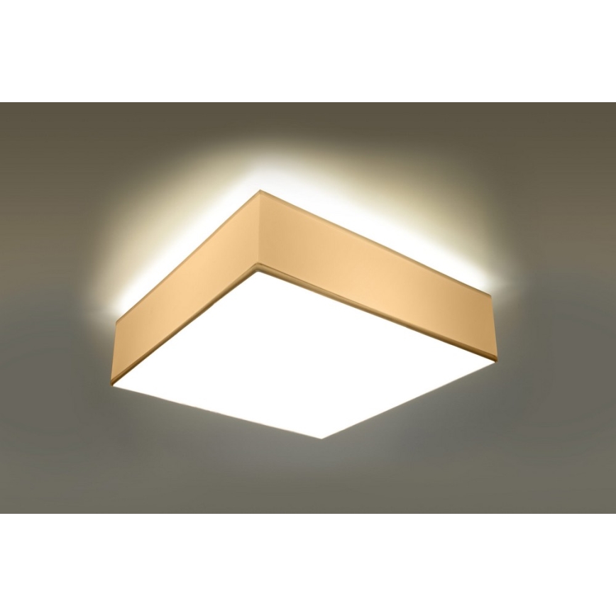 Plafón HORUS 35 2xE27/60W/230V blanco