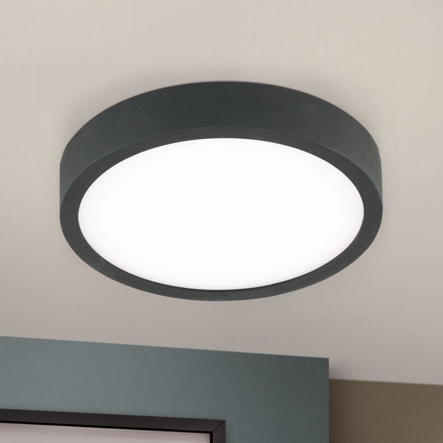 Plafón LED BULLY LED/12W/230V diá. 14 cm negro