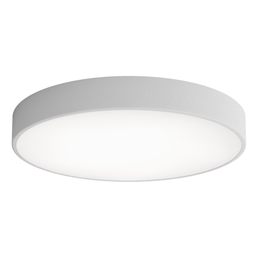 Plafón LED CLEO LED/69W/230V 3000K diá. 60 cm gris