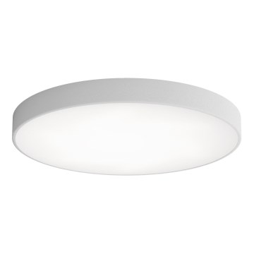 Plafón LED CLEO LED/96W/230V 4000K diá. 80 cm gris