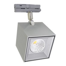 Plafón LED DAU SPOT MONOFASE LED/10W/230V