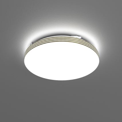 Plafón LED de baño BEVER LED/10W/230V 4000K diá. 26 cm IP44