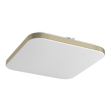 Plafón LED de baño DABAR LED/17W/230V 4000K 33x33 cm IP44