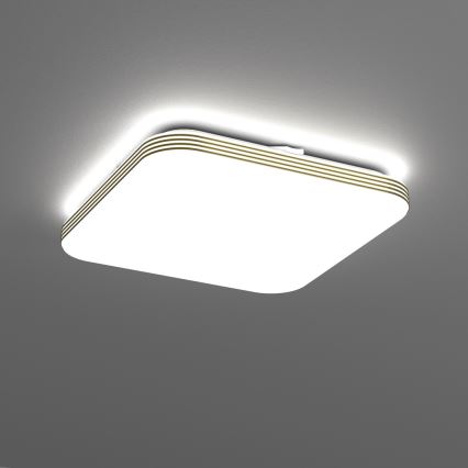 Plafón LED de baño DABAR LED/17W/230V 4000K 33x33 cm IP44