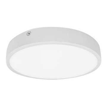 Plafón LED de baño EGON LED/16W/230V IP44 4000K