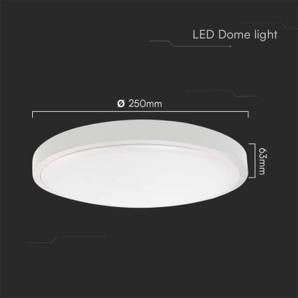 Plafón LED de baño LED/18W/230V 6500K IP44 blanco