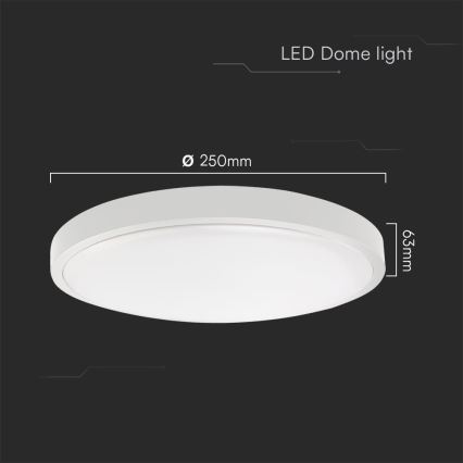 Plafón LED de baño SAMSUNG CHIP LED/18W/230V IP44 4000K diá. 25 cm blanco