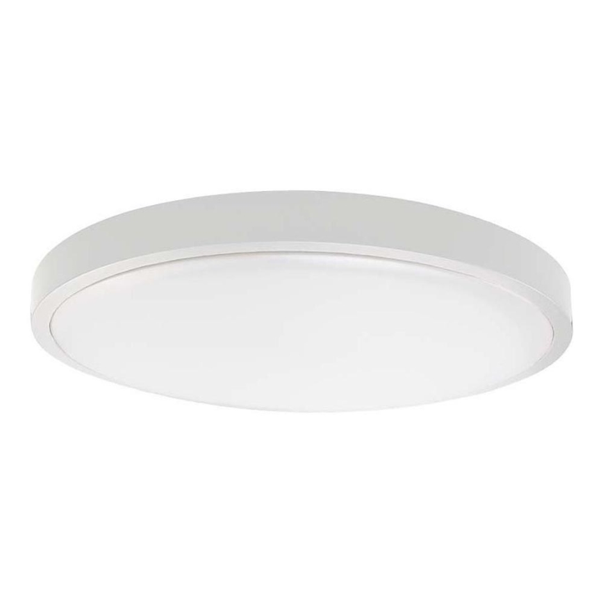 Plafón LED de baño LED/24W/230V 3000K IP44 diá. 29,5 cm blanco