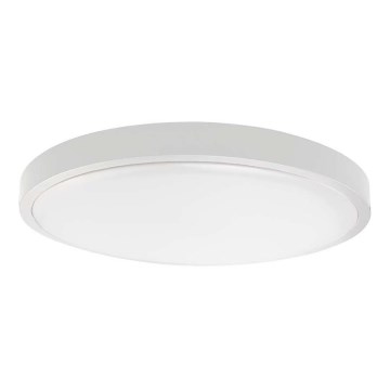 Plafón LED de baño LED/24W/230V 4000K IP44 blanco