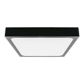 Plafón LED de baño LED/24W/230V 6500K IP44 negro