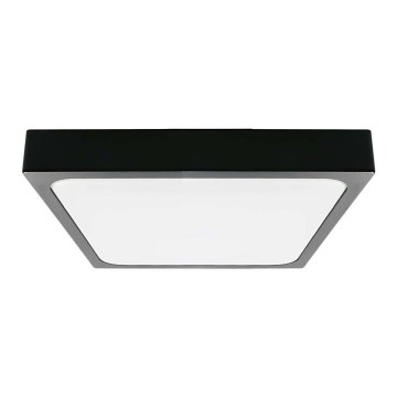 Plafón LED de baño LED/24W/230V 6500K IP44 negro