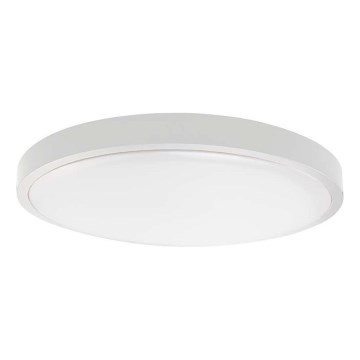 Plafón LED de baño LED/30W/230V 3000K IP44 blanco