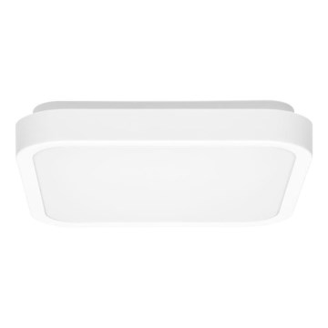 Plafón LED de baño LUKY LED/12W/230V 4000K 25x25 cm IP44 blanco